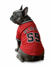 DOG/CAT JERSEY